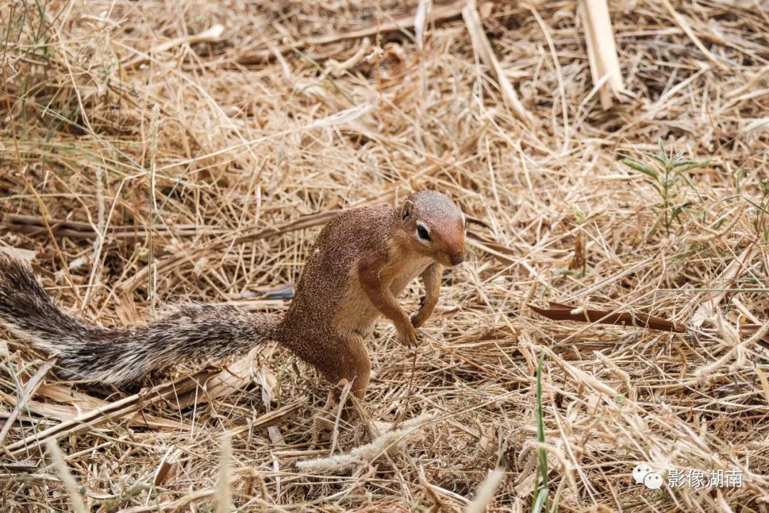DƬ